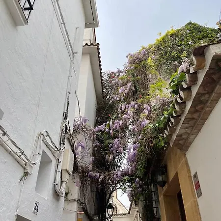 Studio Oasis In 2º Line Beach In The Centre Of - Eaw Homes * Marbellac