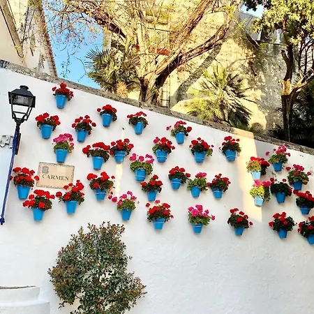 Studio Oasis In 2º Line Beach In The Centre Of - Eaw Homes Appartement *