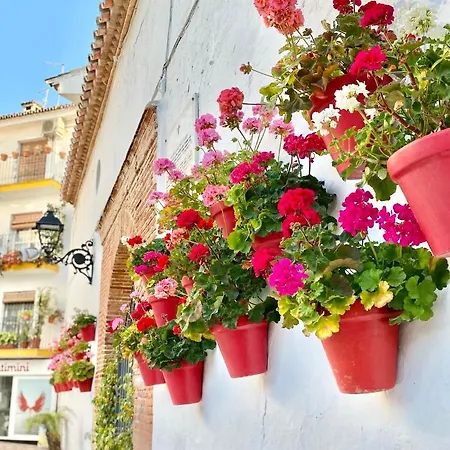 Studio Oasis In 2º Line Beach In The Centre Of - Eaw Homes Marbella