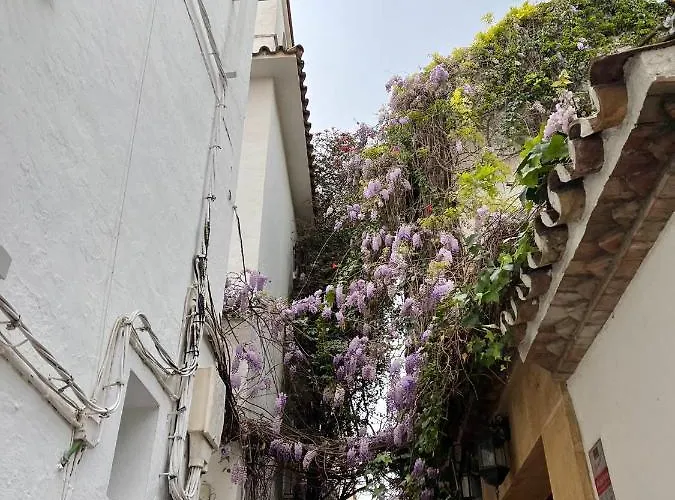 Studio Oasis In 2º Line Beach In The Centre Of - Eaw Homes * Marbella