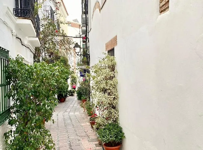 Studio Oasis In 2º Line Beach In The Centre Of - Eaw Homes Apartament