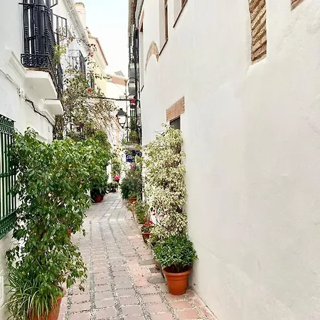 Studio Oasis In 2º Line Beach In The Centre Of - Eaw Homes Daire