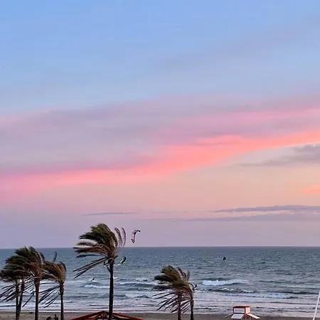 Studio Oasis In 2º Line Beach In The Centre Of - Eaw Homes